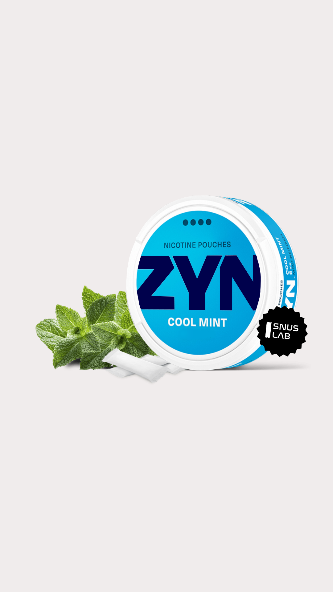 ZYN Cool Mint Max