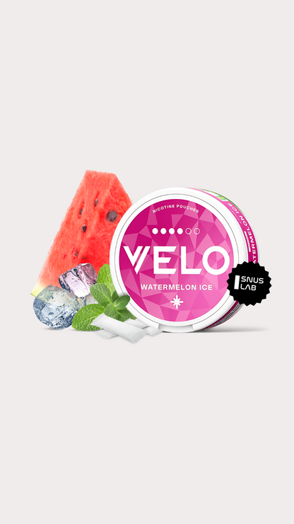 A can of snus vietnam VELO Watermelon